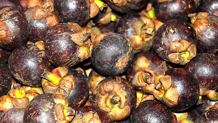 Purple mangostenes contain a sweet, tangy white flesh to be eaten raw, or turned into a juice. Thailand is the largest producer and exporter of mangostenes in the world
