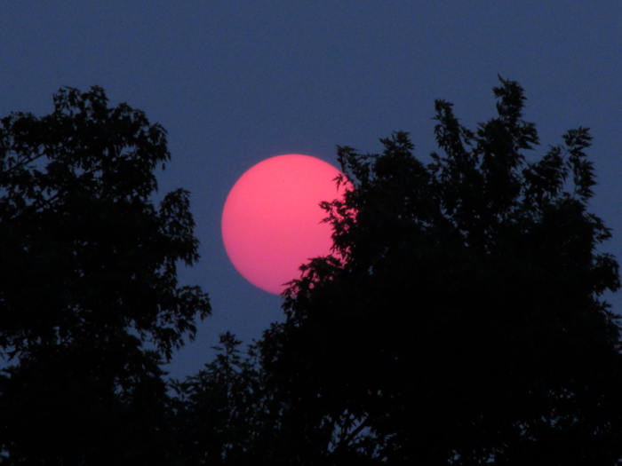 While I may never know what this image is I captured in the summer of 2015, it doesn't look like any photo I have ever seen of our Sun.
