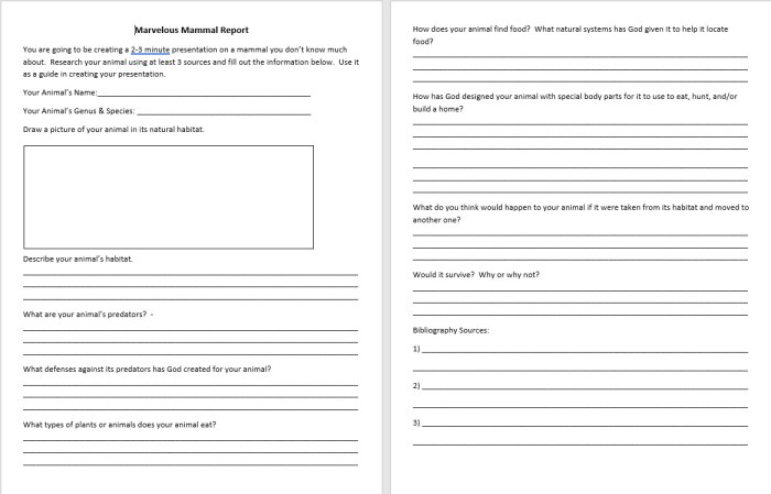 This set of worksheets is based on the project posted at https://www.carman.k12.mi.us/site/Default.aspx?PageID=2407 .