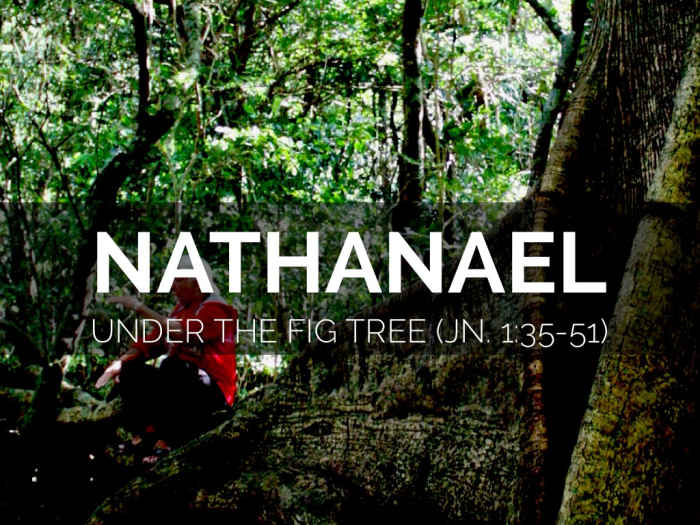 Traditionally believed to be literally under a tree when Jesus saw Nathanael, we now understand the fig tree reference to be a metaphor.