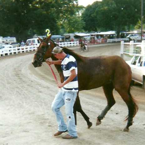 After the horrific flip in her first start and first time away from home, Wonder Buns, owned by Sharon E. Steinke of Pioneer, Ohio, is scratched and leaves the track in a subdued walk.