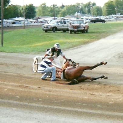 Wonder Buns was the poor Little Filly Who Couldn't on August 17, 2011 at the Henry County Fair in Napoleon, Ohio.
