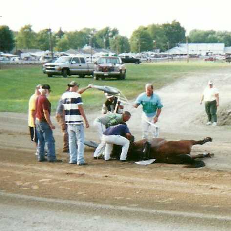 Fill-in Driver Randy Bates was able to jump ship from the sulky as Wonder Buns reared in the harness and flipped backwards to the ground.