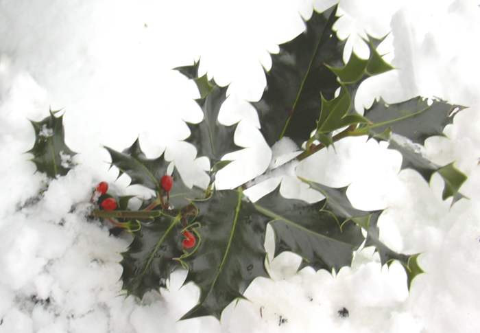Give a cash gift for Christmas to someone who needs it while still keeping to the spirit of the holidays.