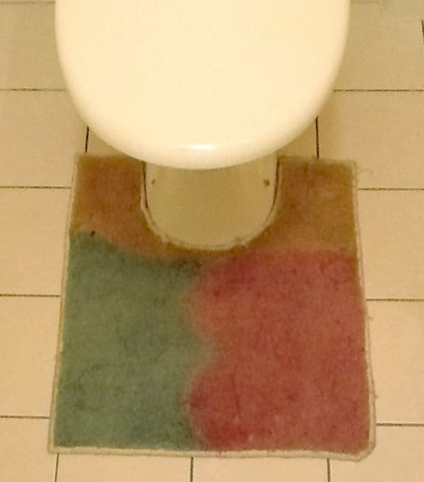 Toilet carpet dyeing this carpet was 22 when we dyed it in August 1996 now 16 years on it's 38 in 2012