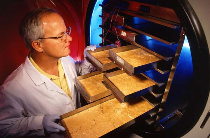 A scientist observes product frozen in freeze-dryer trays.