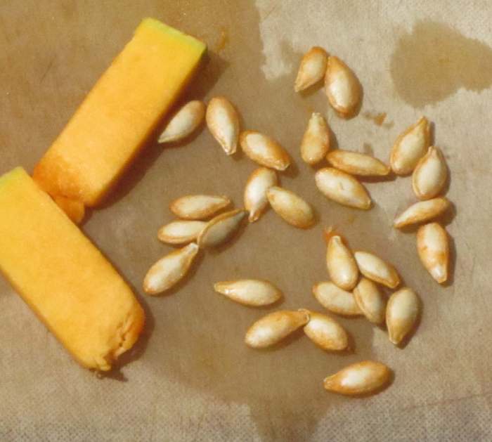pumpkin seeds