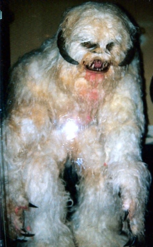 I think the Billiwhack monster left the Dairy and moved to Hollywood to join the cast of Star Wars as the Wampa