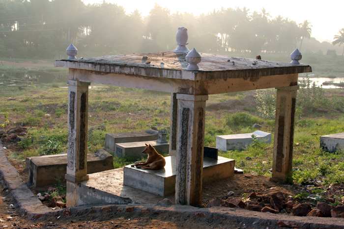 The Samadhi of Swami Karunyananda who stayed with Swami for over 40 years has also been victim to the callousness and filth! A dog rests peacefully in the morning light.