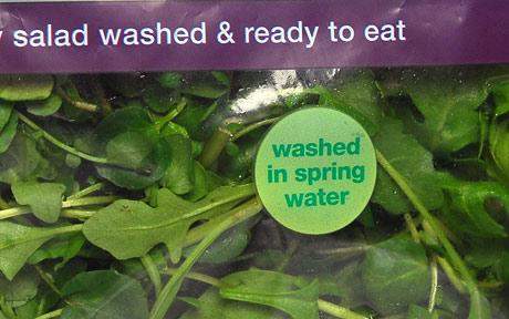 Salmonella bacteria can use their flagella to grip on to salad and vegetable leaves if they are fertilized with manure.