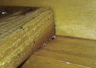 These pictures are of the slats underneath the mattress and show a couple very obvious tell-tale signs of bedbugs. One, the black spotting on the wood. Two, the white eggs.