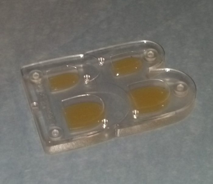 Here is one of our bug traps. You can see a very tiny black dot on the right left glue pad, at the very top.