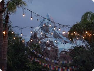 Normally closing before dusk, a night visit (usually during extra Magic hours) gives a new perspective to not just Expedition Everest, but the whole park.