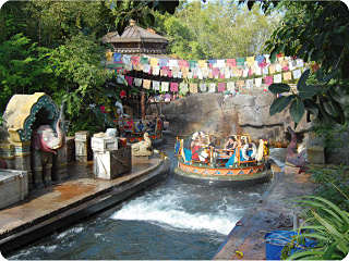12-seat round rafts take park guests through the wonderfully themed Kali River Rapids ride in Disney World's Animal Kingdom.