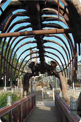 Paths take explorers under, through, over and around imaginative, dino-themed elements.