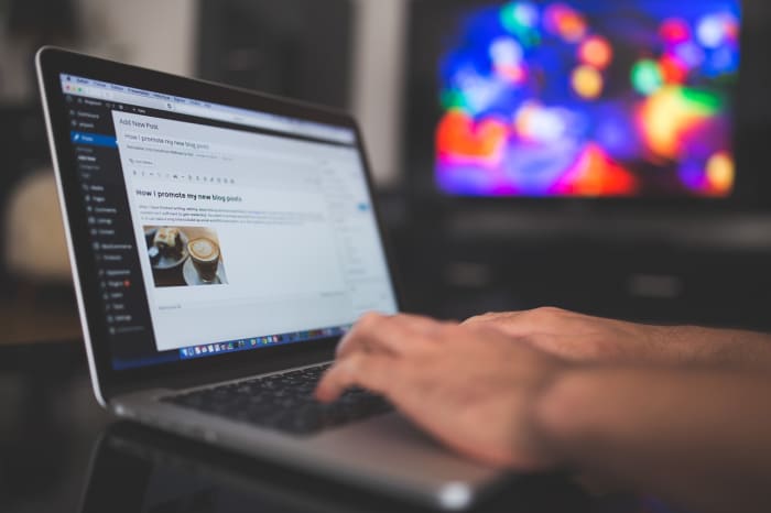 Writedge and DailyTwoCents are revenue sharing websites based on WordPress. Are you familiar with its text editor?