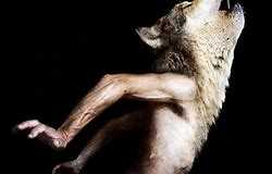 Many animals, both known and unknown, seem to thrive only in the darkest recesses of the night.