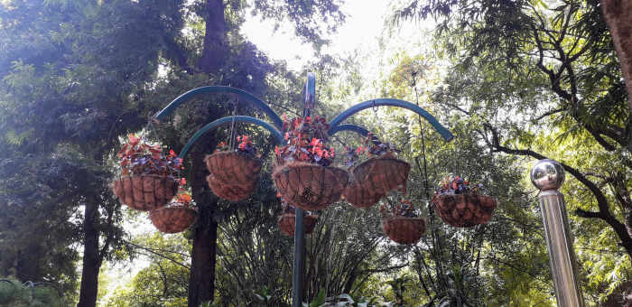 The walking corridors are lined up with raised flower pots all along the garden.