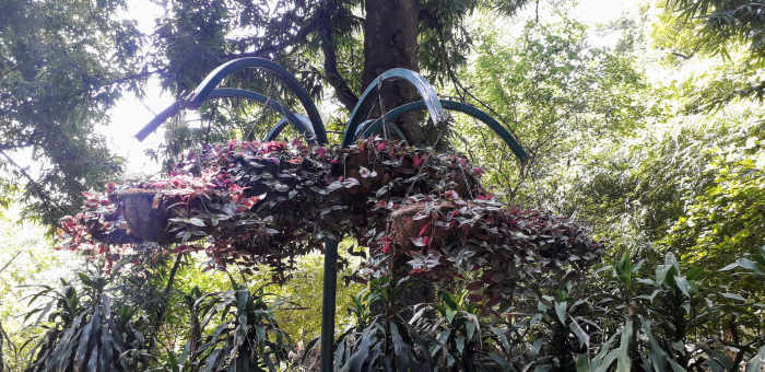 The walking paths, lined up with beautiful and well maintained flower pots, on either side. It gives a feeling of pure happiness and rejuvenation.
