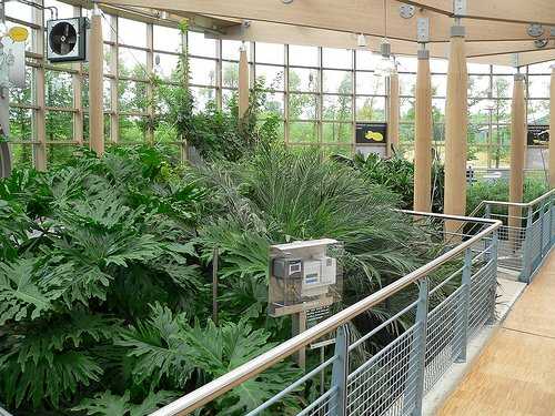 A living machine in action at the Emmen Zoo, Holland. This one treats 260,000 gallons of wastewater a day. Photo by Jean-Luc Toilet.
