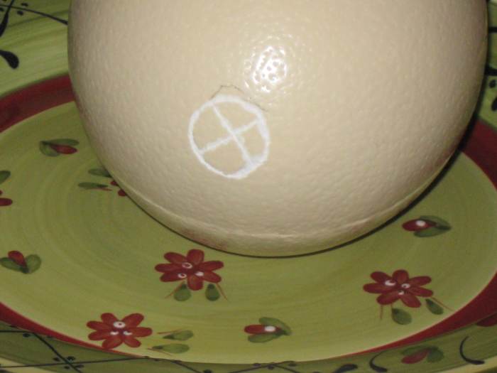 The "scored" tip of the ostrich egg which we were to open and empty the contents from.