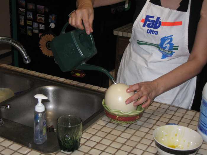 My wife finds that the watering can for her house plants provides an easy way to pour the water and bleach mixture into the hole in the ostrich egg.