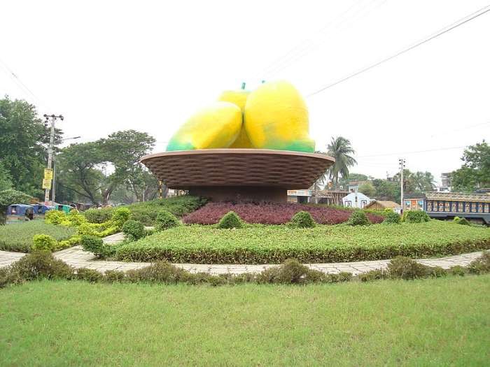 Giant mangoes in Bangladesh.