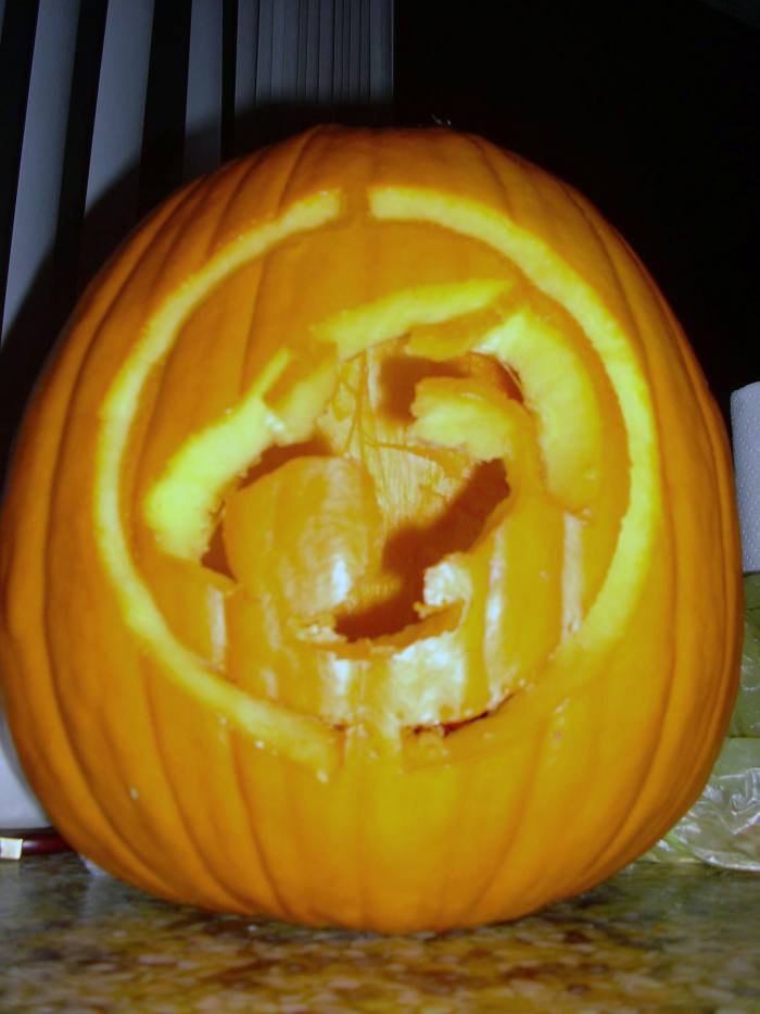 A lot of effort goes into carving pumpkins, like how carving this Thundercats logo took over an hour!