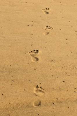 Footsteps on the sand - Corns affect thousands of people all over the world.