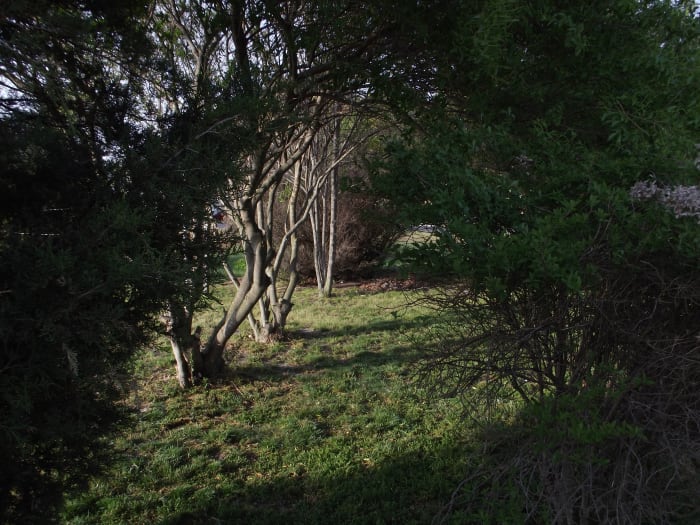Just like a peaceful path in the forest... Religion doesn't have to be hateful and full of judgement. Picture taken by Dwayne Elliott and Melody Wilson Copyright © All Rights Reserved