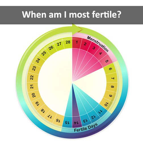 When Do I Ovulate? HubPages