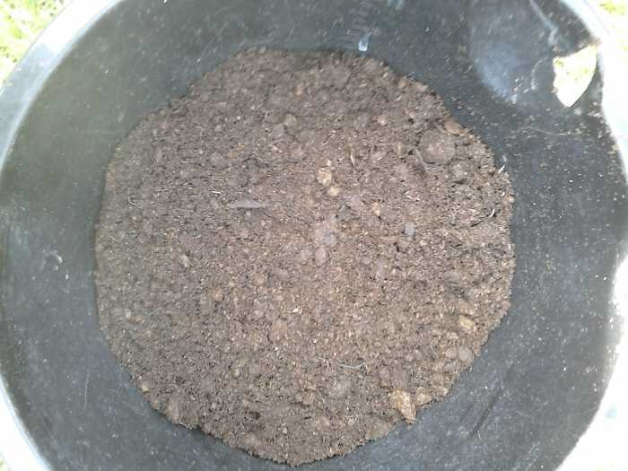 If you don't have a potato bag then you might try using an old bucket that you have. Just put some holes in the bottom of it.