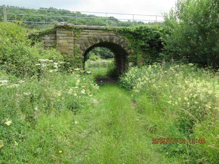 Along the route of the North Yorkshire Moors Railway near Grosmont, this cattle creep nestles amid overgrown banks of weeds and bushes