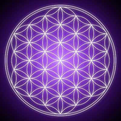 The Flower of Life is an ancient symbol representing the cycle of life and contains within it the five Platonic Solids.
