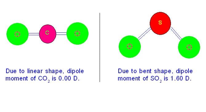 In carbon dioxide, due to its linear shape, individual dipole moments of two C=O bonds cancels each other giving net value of zero. But due to bent shape sulphur dioxide shows dipole moment.