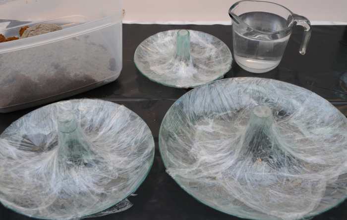 Acrylic layers wrapped with cling wrap/alternatively, grease with Cook and Spray/Cooking Oil.