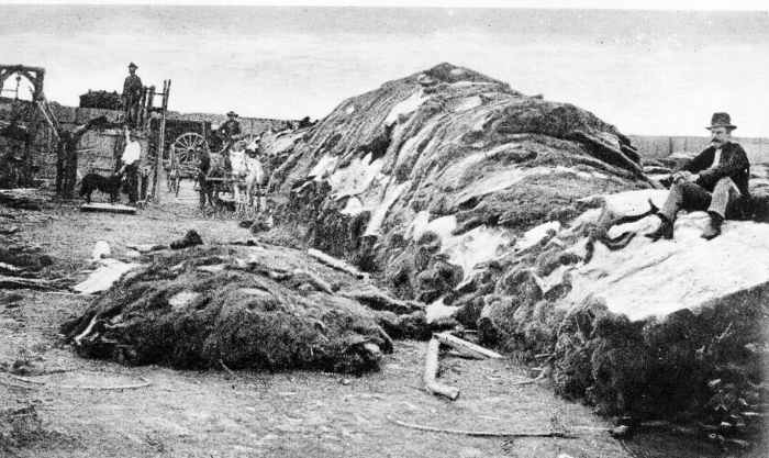 Charles Rath, famous buffalo hunter, seated on rick of 40,000 hides in Robert Wright's Dodge City hide yard in 1878, with M.W. (Doc) Anchutz (in white shirt, back).