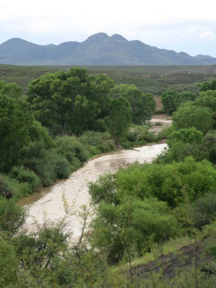 San Pedro River as it Flows Below Bluff upon which Presidio Santa Cruz de Terrenate sits