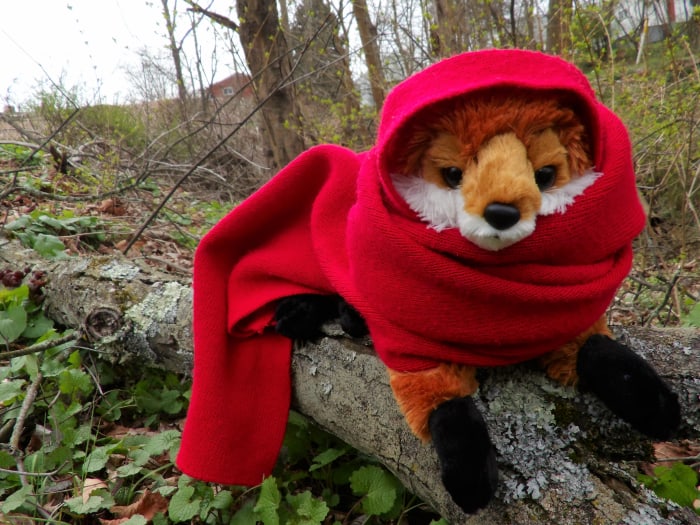 You will be meeting Robin and his merry band later, but our clever Todd is ready to guide you along the way.