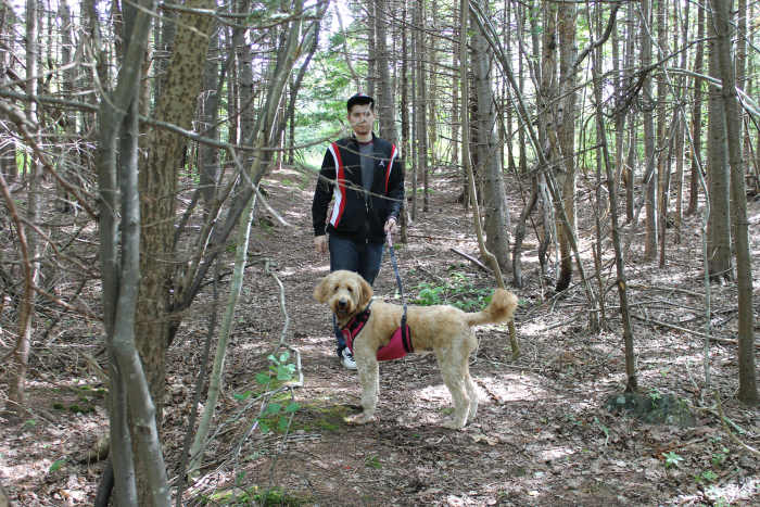 The author's son, Joshua, and Goldendoodle, Daisy, on a wooded trail in a section of the park's west end, on land that once belonged to former Newfoundland Prime Minister Richard Squires.