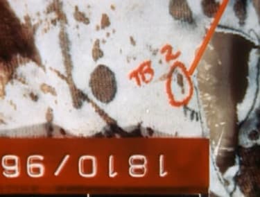 Similar to TB8, the shape of the TB2 stain shows it landed from the top of the shirt moving downward consistent with cast off from the knife at the shoulder level