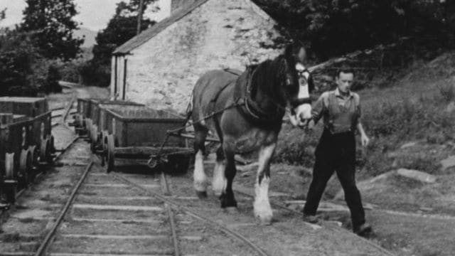 Horse-drawn wagons on the Talsam Railway, 1962 - the railway was situated near Lampeter in Pembrokeshire, SW Wales