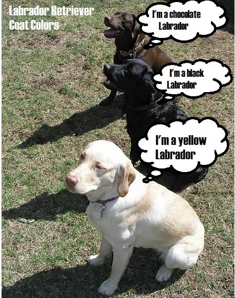 Edited to add captions.