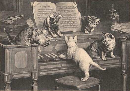 cats-and-classical-music