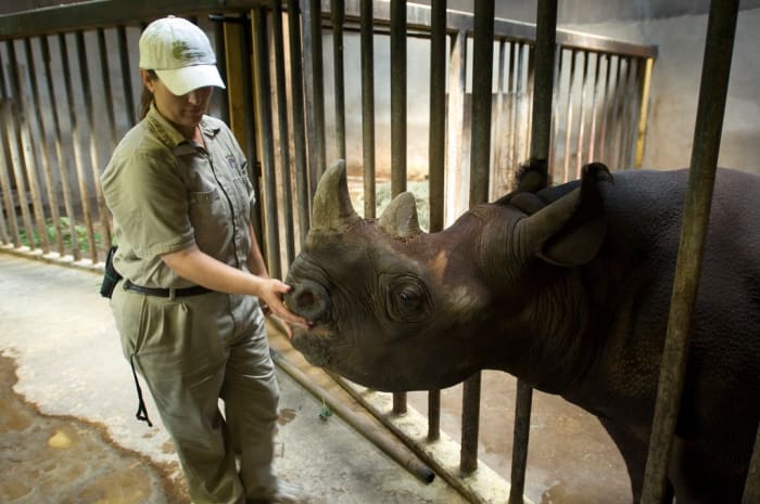 Photos like these give the public the impression that these animals spend their entire lives in small, bare, prison-like enclosures.