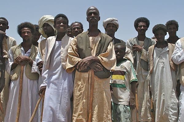 The ancient Egyptians were not Europeans or Asians. They were in fact largely indigenous Africans, both biologically and culturally. That is not to say that there was no cultural or genetic influence from Europe or Asia, but any such influence was no