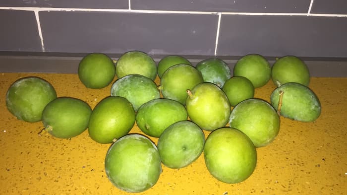 The green mangos I used. As you can see they are not very large that's why 2 dozen may sound like a large figure, but in hind sight it really is not. I always make sure to wash them first of course:) Note, some mangos were peeled prior to taking pic!