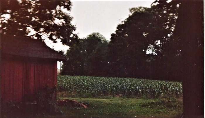 This is what our farm looked like when I was a kid in the midst of horse craziness. It was a produce farm not a horse farm. Still lots of room to school the fake horse and all the bushel baskets stacked up can make some impressive jump courses.