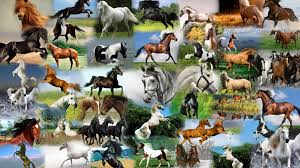 Pretty much everything I owned as a child that tape would stick to I covered in horses. Don't worry this is normal behavior.