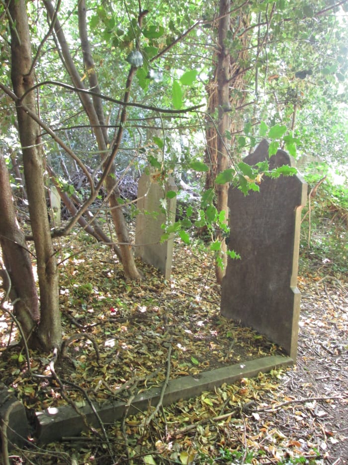 ... Others are spared the tendrils of ivy that have overgrown others, depending on the types of nearby trees. Visitors to their family graves may have abandoned their searches, moved away or emigrated...